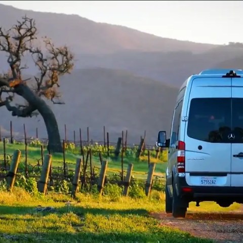 White van on a dirt road with mountains and a twisted tree in the background.