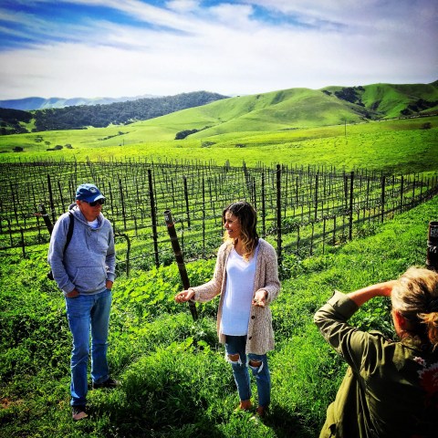People walking in a green vineyard with lush hills in the background under a blue sky.