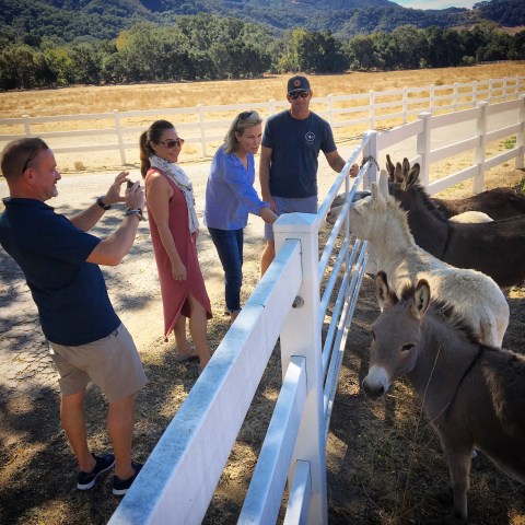 Four people interact with donkeys behind a white fence in a rural setting.