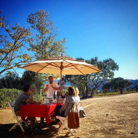 Four people seated at a picnic table with a red cloth under a large umbrella, outdoors on a sunny day.