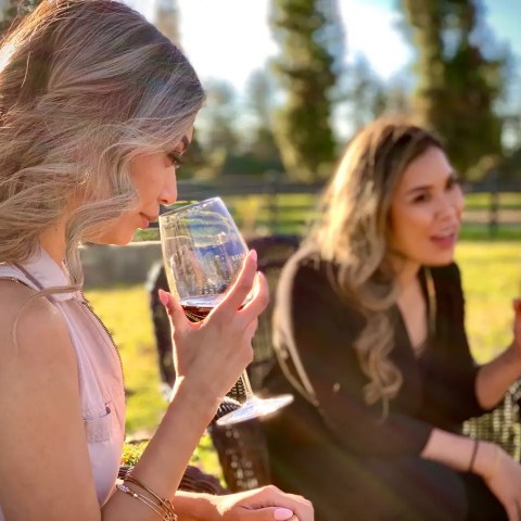 Two women enjoying red wine outdoors, sitting on chairs in a sunny park.