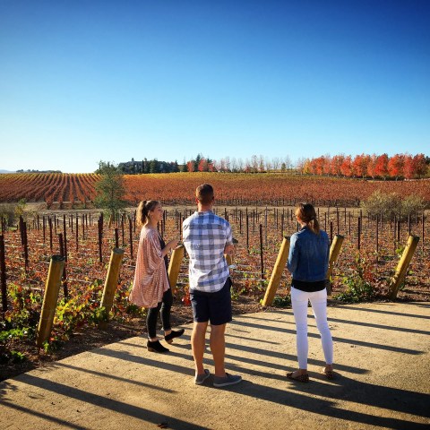 Three people stand on a path overlooking a vineyard with autumn trees in the background.