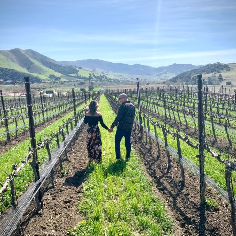 Couple holding hands walking in a vineyard, surrounded by hills and blue sky.