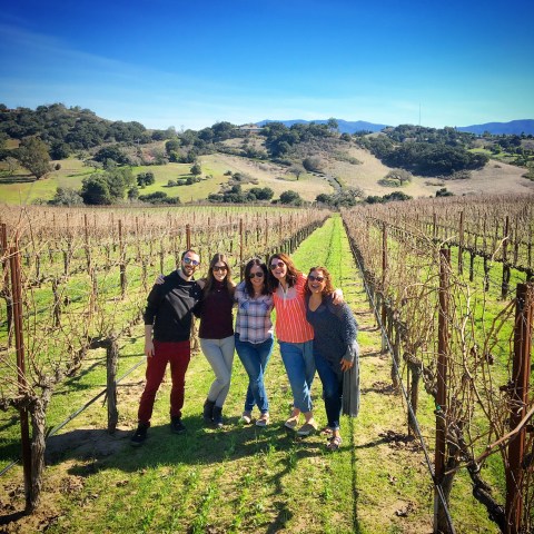 Five people standing in a vineyard with rolling hills and blue sky in the background.