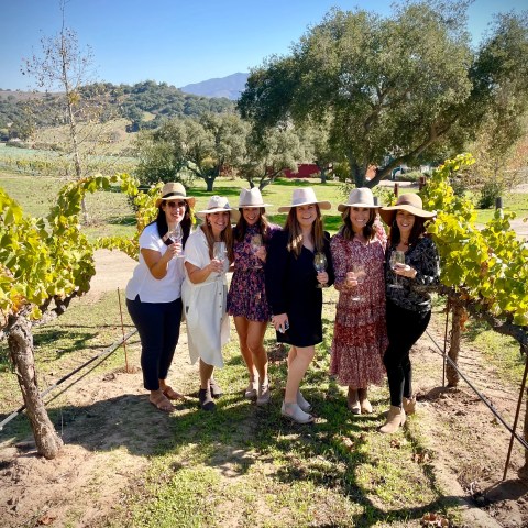 Six women in hats holding wine glasses in a sunny vineyard.