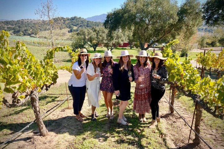 Six women in hats holding wine glasses in a sunny vineyard.