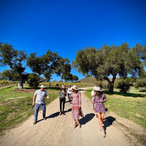 Group wearing hats walking on dirt path surrounded by trees and vineyard under clear blue sky.