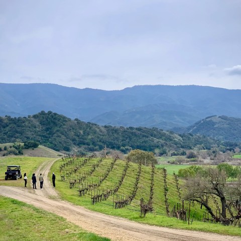 Four people stand near a vehicle on a dirt road beside vineyards with hills in the background.