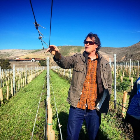 Two people in a vineyard; one points to a vine under a clear blue sky.
