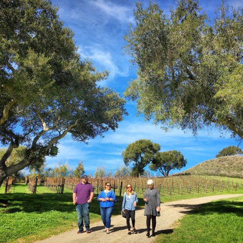 Four people walking on a vineyard path with trees and blue sky.
