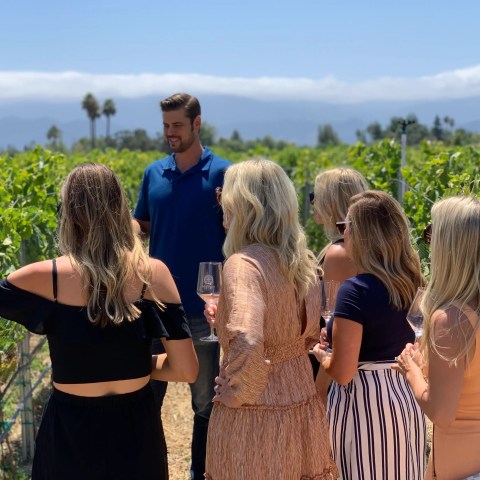Group of people in a vineyard on a sunny day, with a man in blue shirt talking to them.