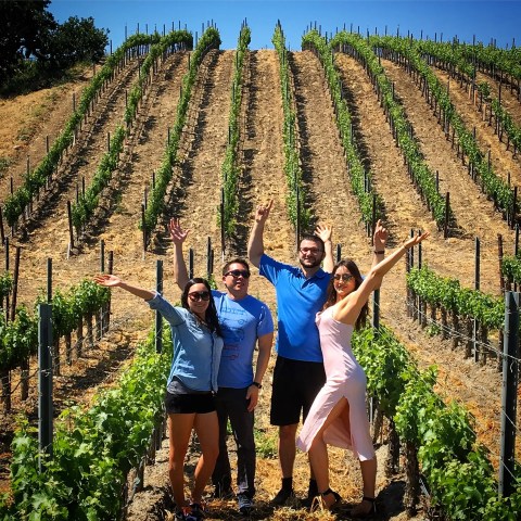 Four people posing happily in a vineyard with rows of grapevines on a sunny day.