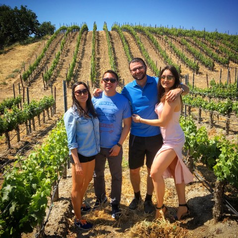Four people standing in a vineyard on a sunny day with rows of grapevines behind them.