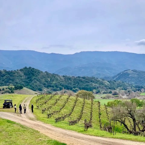 People and a vehicle on a dirt road by vineyard in hilly landscape with mountains in the background.