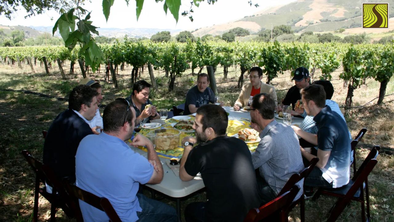 Group of people eating at a table outdoors in a vineyard on a sunny day.