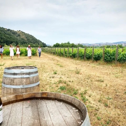 Six people walking in a vineyard with wine barrels and a bottle in the foreground.