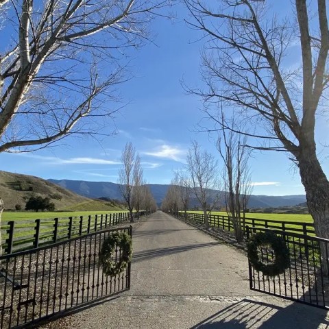 Tree-lined road with open gates and wreaths under a clear blue sky.