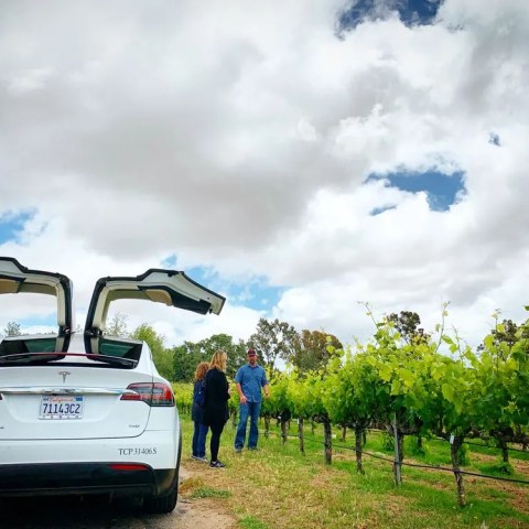 White car with open doors near two people in a vineyard under cloudy sky.
