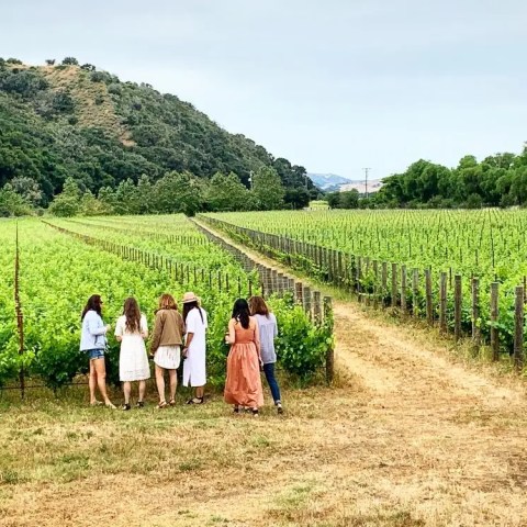Group of people walking in a lush vineyard surrounded by hills.