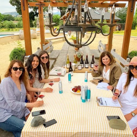 Five people enjoying wine at an outdoor picnic table with bottles and glasses under a wooden pergola.