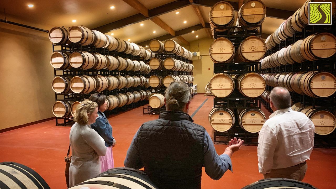 People in a wine cellar with rows of stacked wooden barrels, listening to a guide.