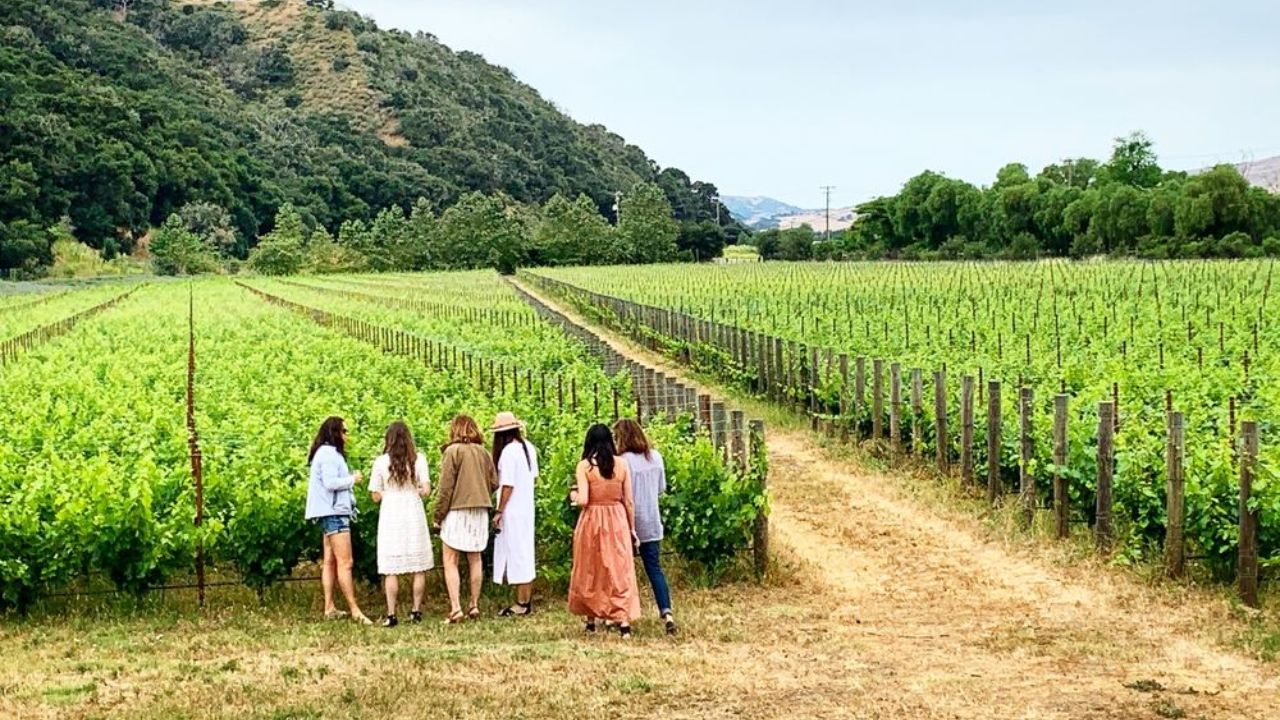 Group standing at vineyard during scenic wine tour experience.