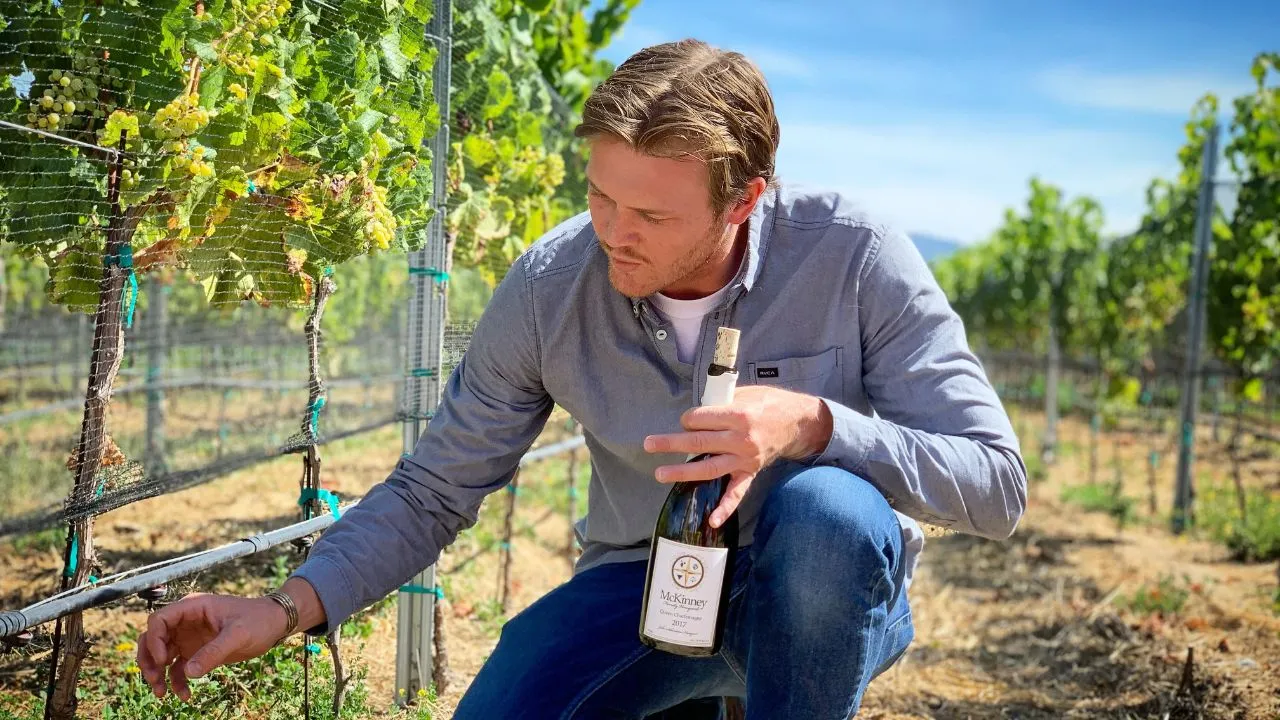 Man in a vineyard inspecting grapes holding a wine bottle.