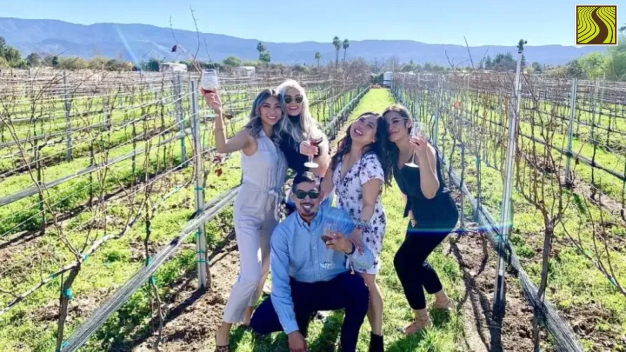 Five people holding wine glasses in a sunny vineyard with mountains in the background.