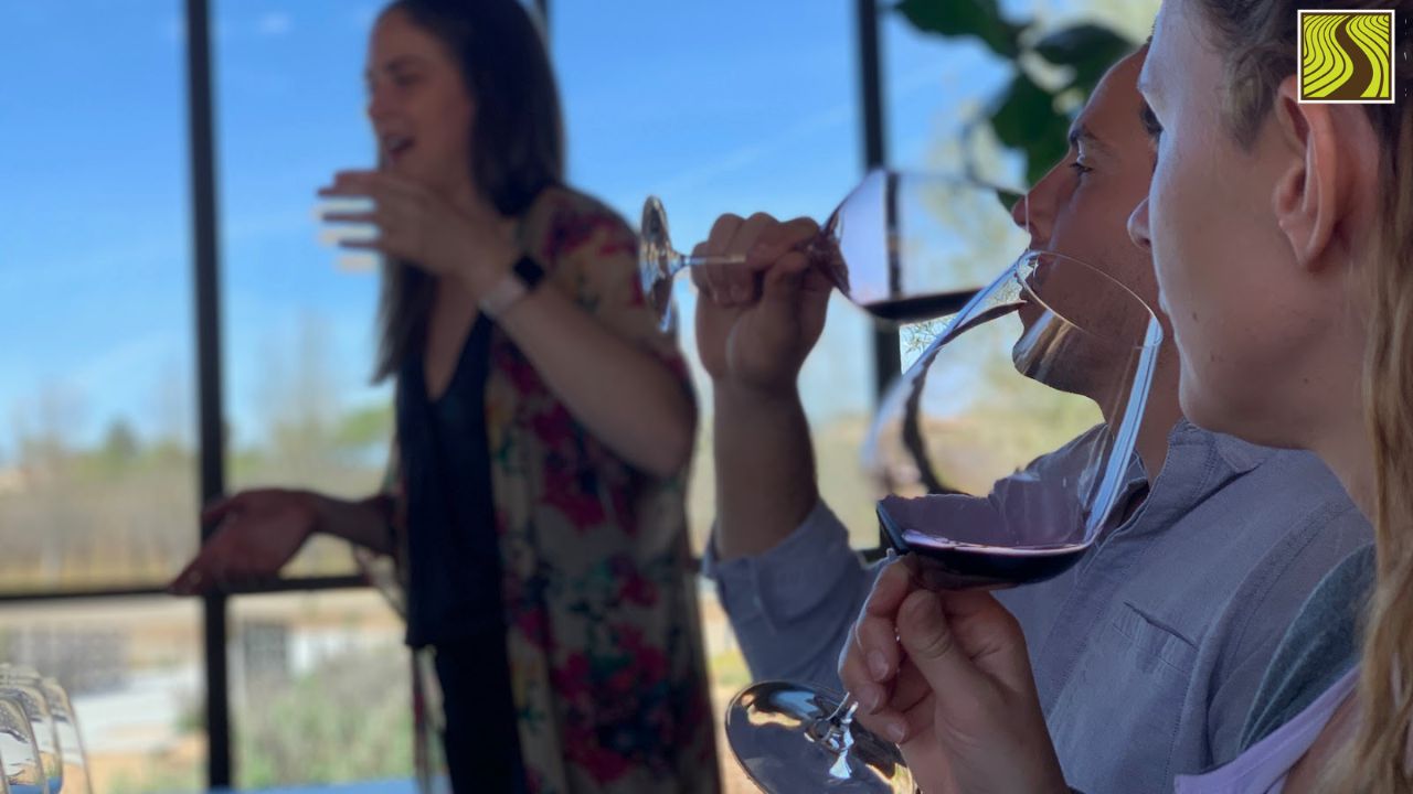Three people tasting wine indoors with large windows in the background.