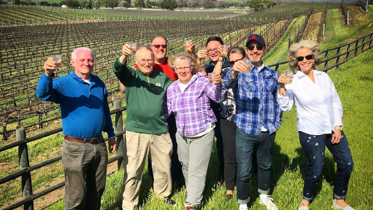 Group toasts in vineyard during private wine tour under sunny sky.