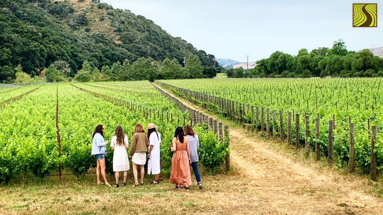 Six women standing in a vineyard with green hills in the background.