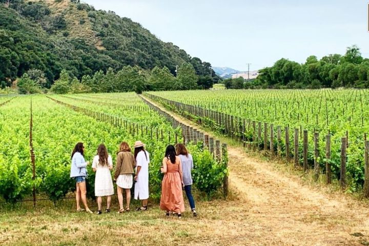 Six women standing in a vineyard with green hills in the background.