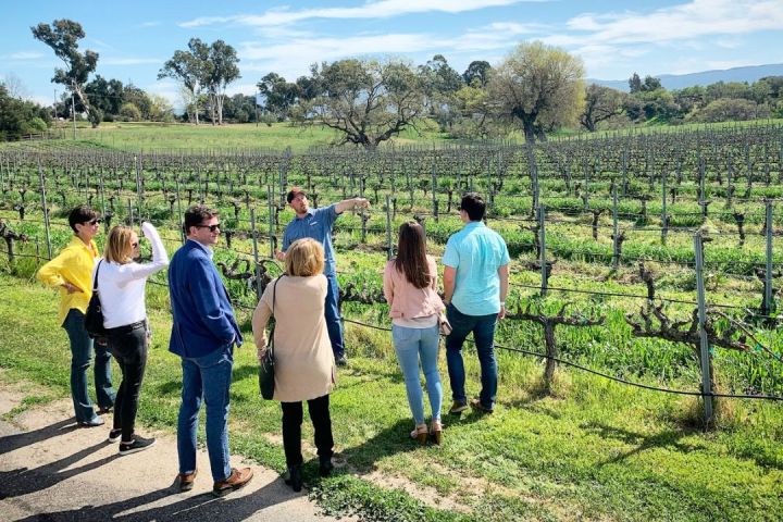 Group of people touring a vineyard with a guide under a sunny sky.