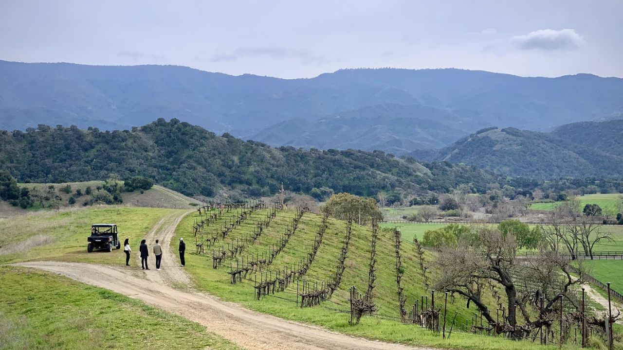  Five people on a sustainable wine tour exploring vineyards by utility vehicle in scenic countryside.