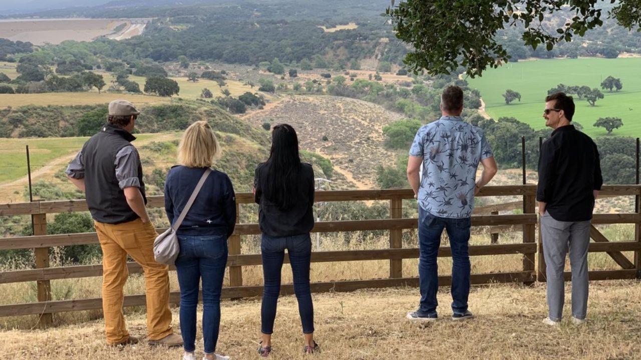 Wine tour group admiring scenic countryside from hillside.