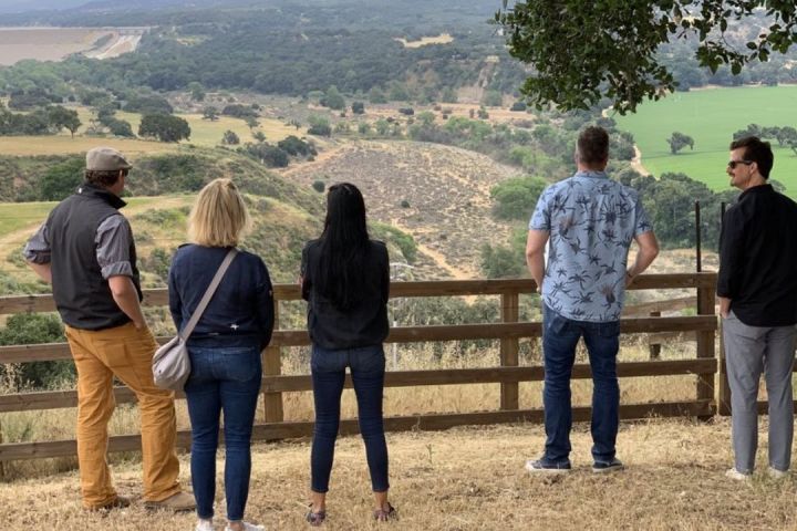 Wine tour group admiring scenic countryside from hillside.