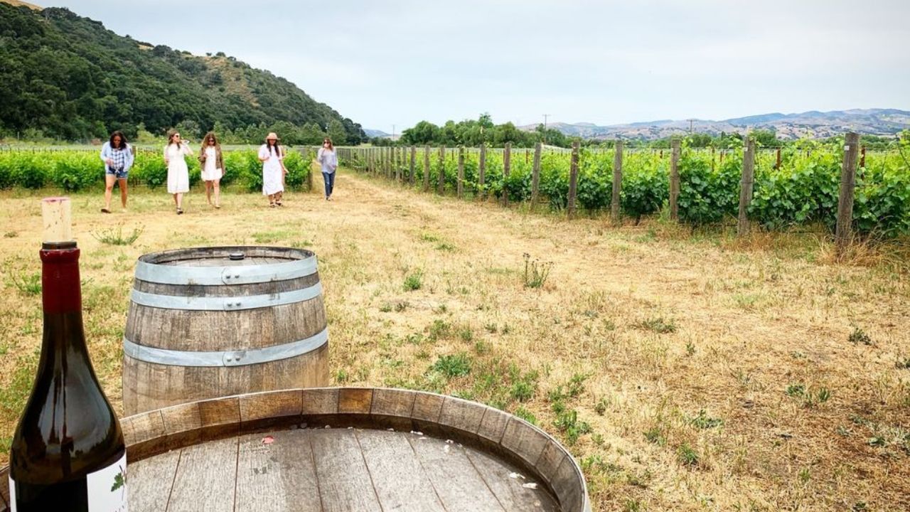 Wine tour group walking vineyard past barrels and bottle.