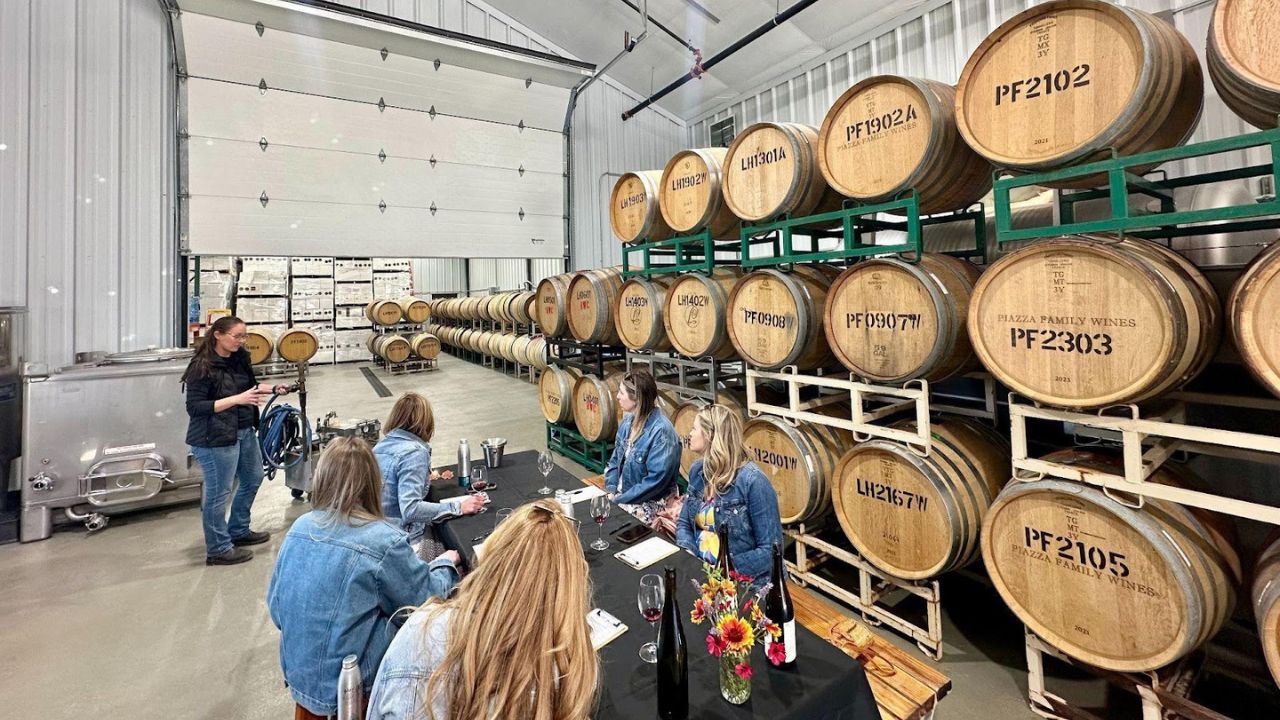 Guests enjoying a wine tasting event inside a barrel cellar.
