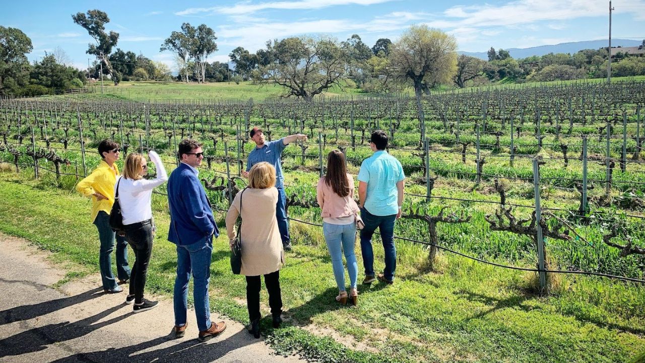 Group on private vineyard tour with guide explaining grapes.