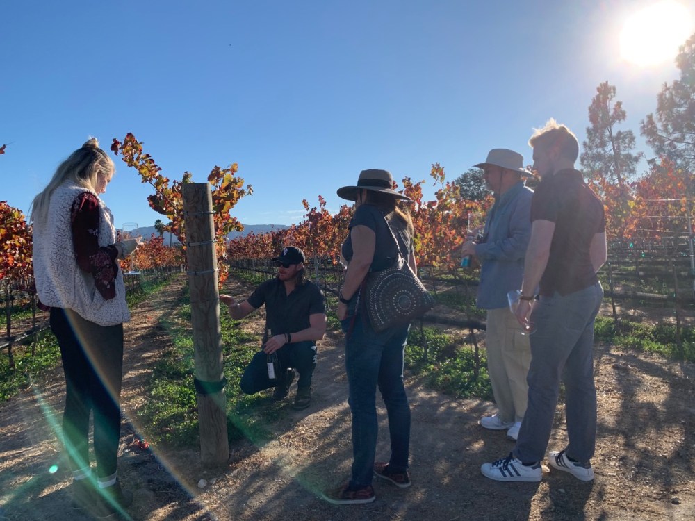 Group enjoying vineyard wine tour with autumn-colored grapevines.