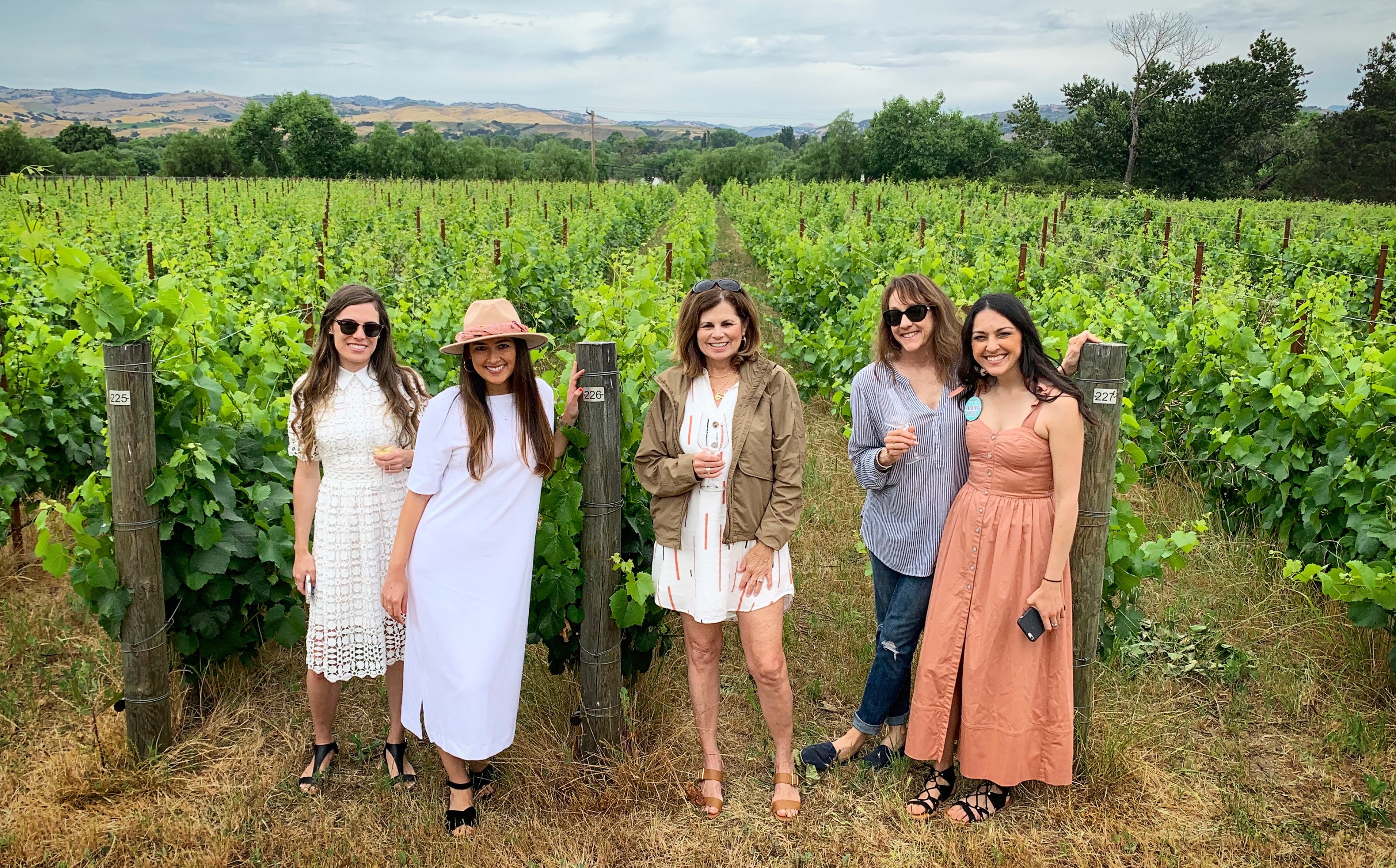Group enjoying vineyard wine tour with tastings and countryside views.