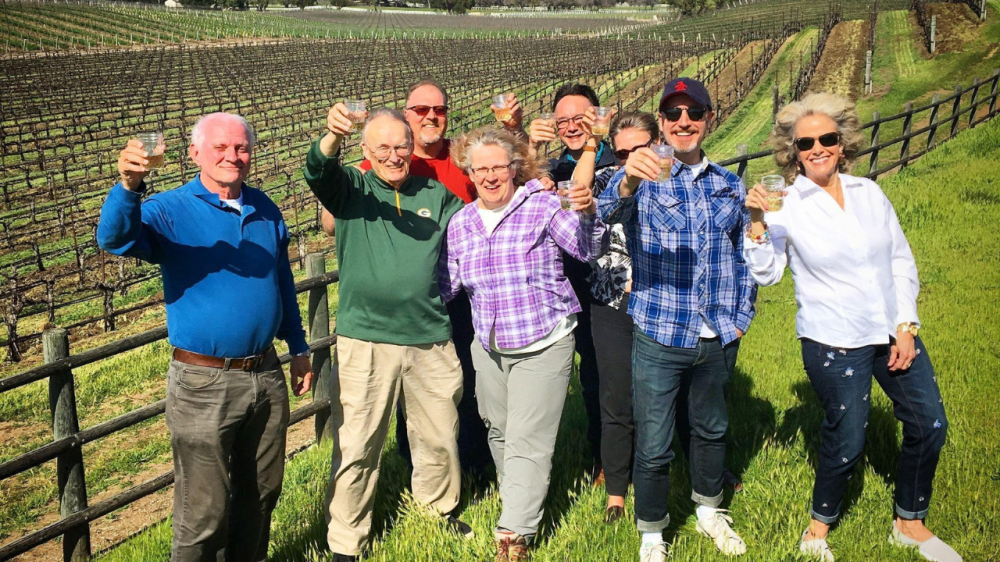 Group toasting wine glasses during vineyard tour under blue sky.