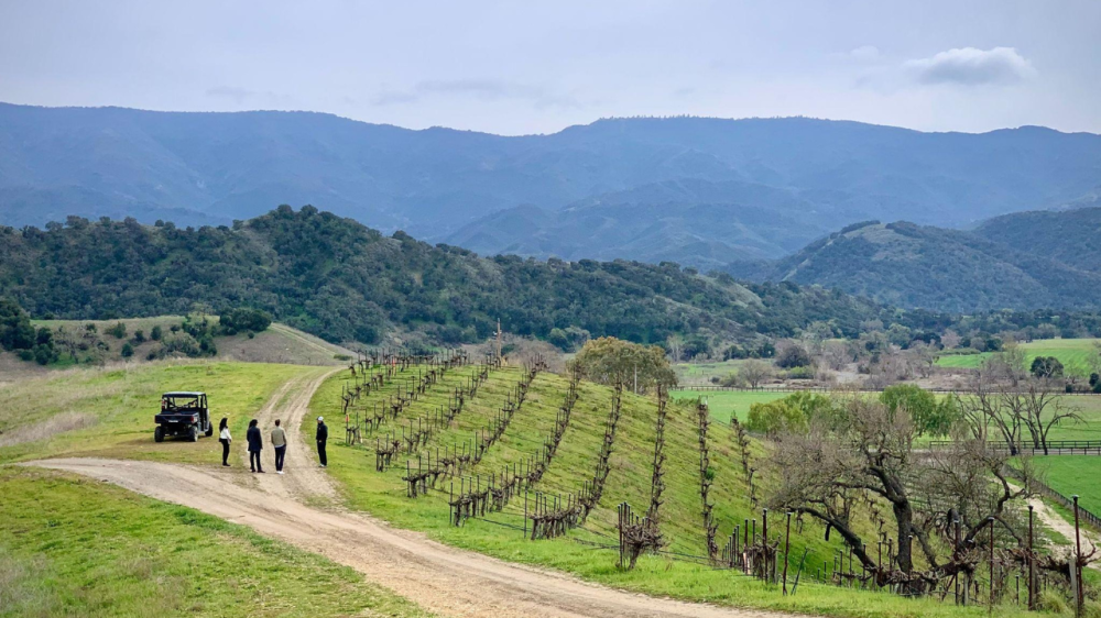 Guests on vineyard wine tour with vehicle and hillside views.