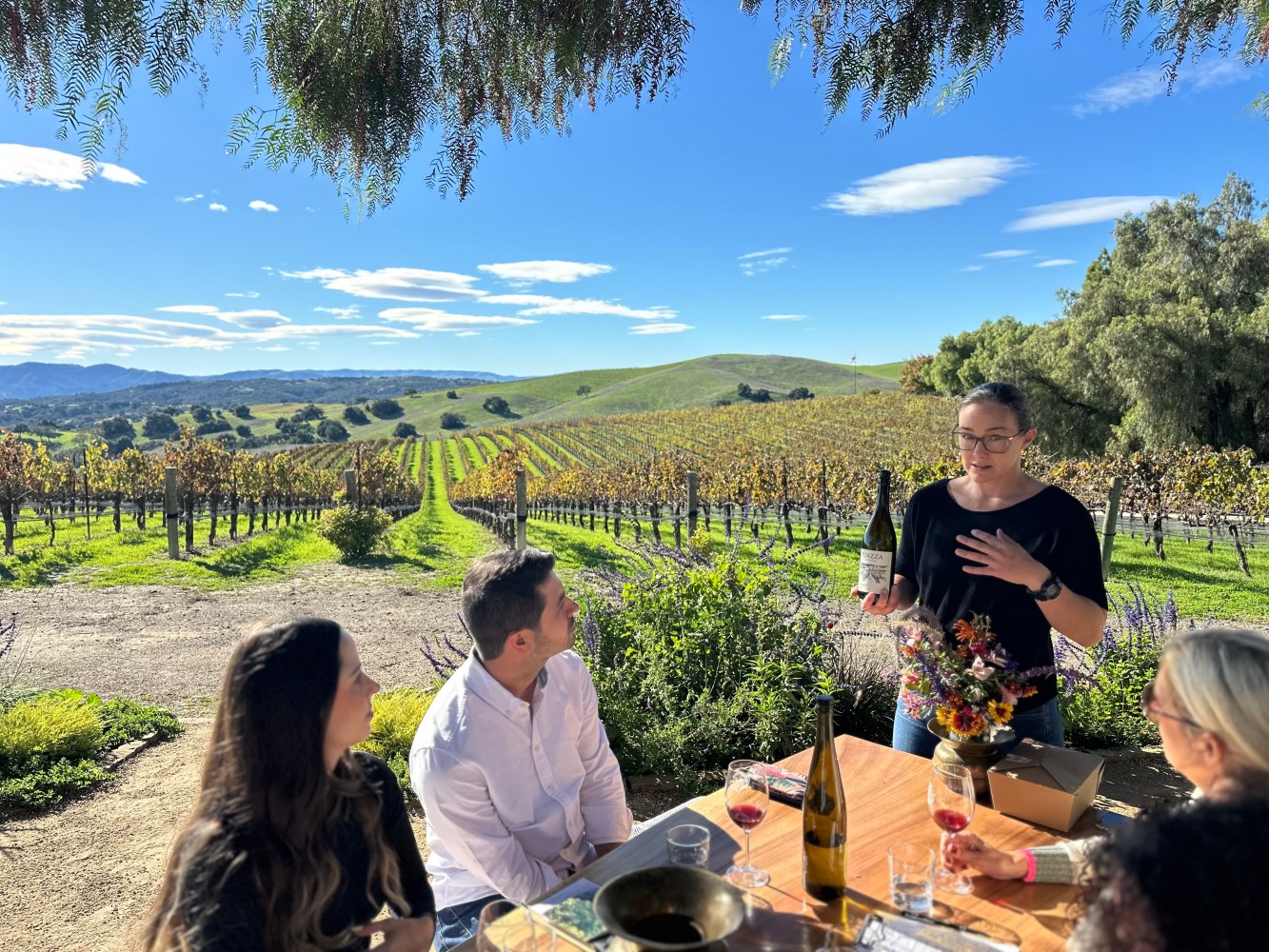 Guided wine tour with friends tasting in scenic vineyard.