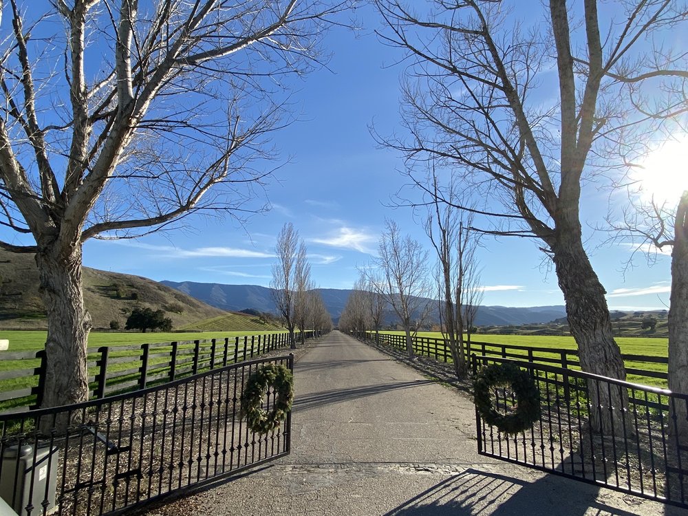 Winery estate driveway with trees, fences, and scenic hills.