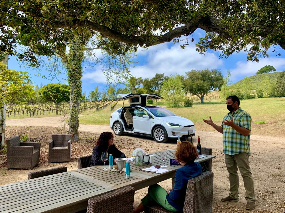 Guests enjoying vineyard wine tasting beneath a shaded outdoor tree.