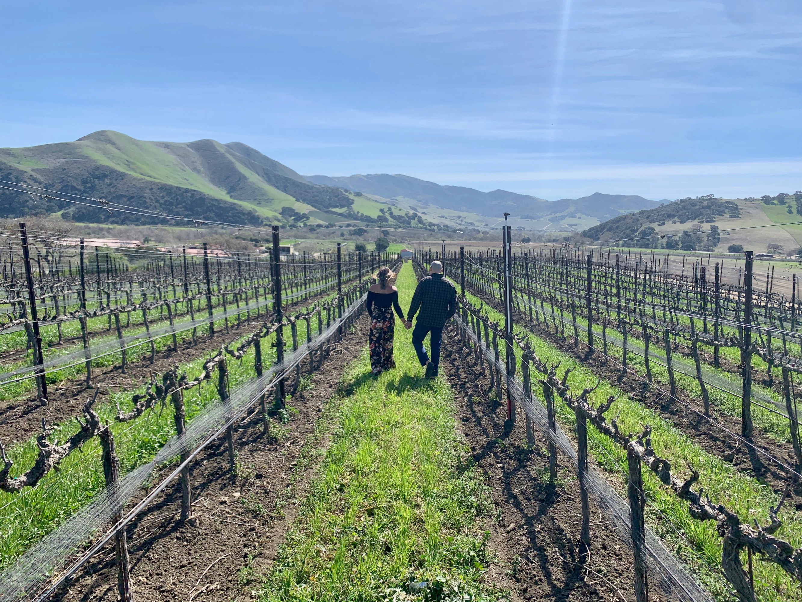 Couple walking hand‑in‑hand through scenic vineyard rows.