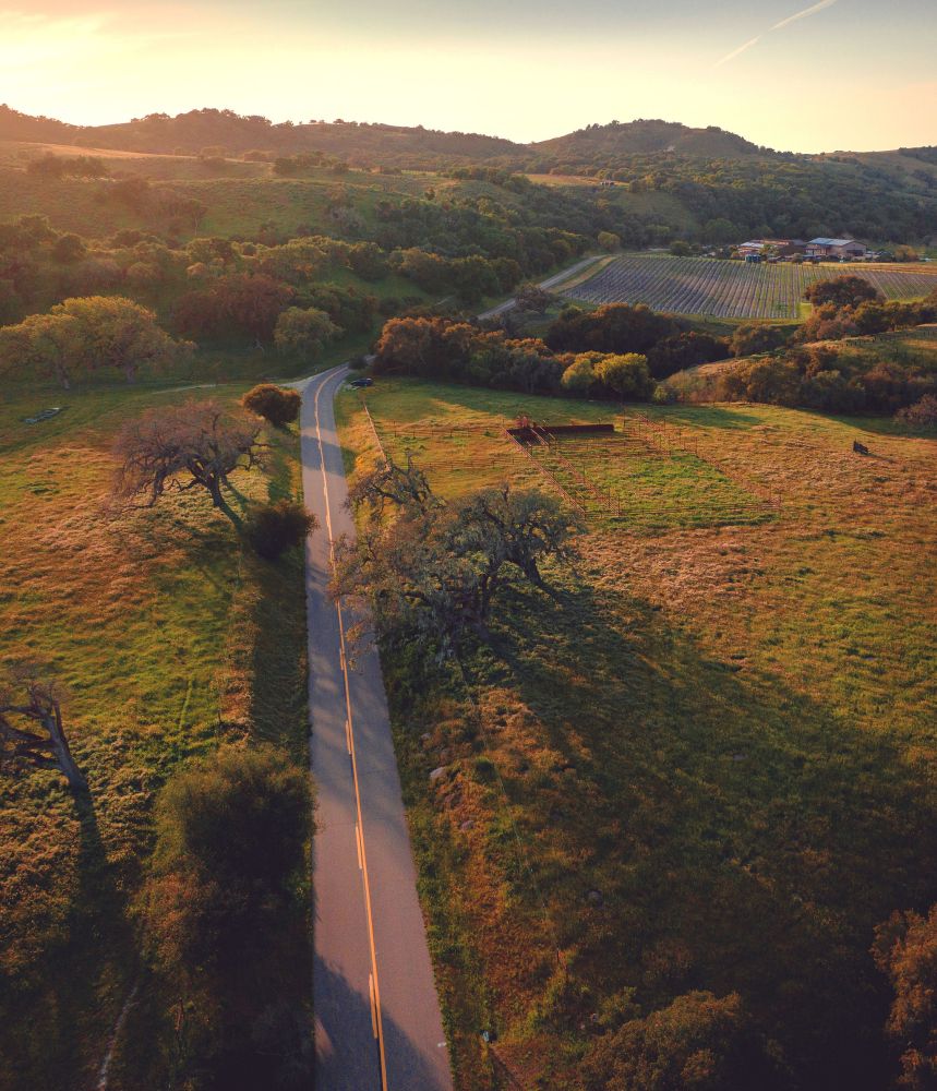 Foxen Canyon wine trail road through vineyards at sunset.