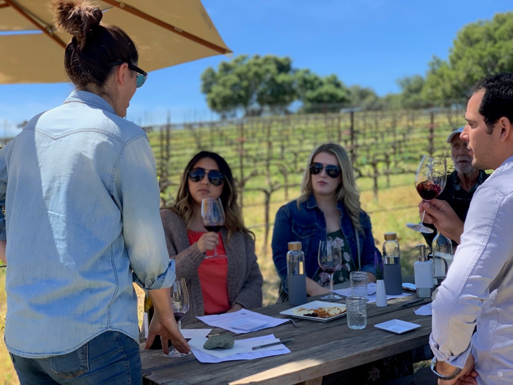 Group enjoying vineyard wine tasting with glasses and food.