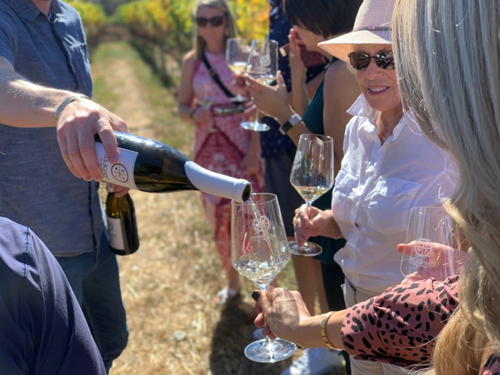 Guests tasting white wine outdoors in Santa Barbara vineyard.